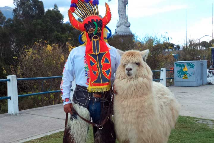 alpaca_Paquito