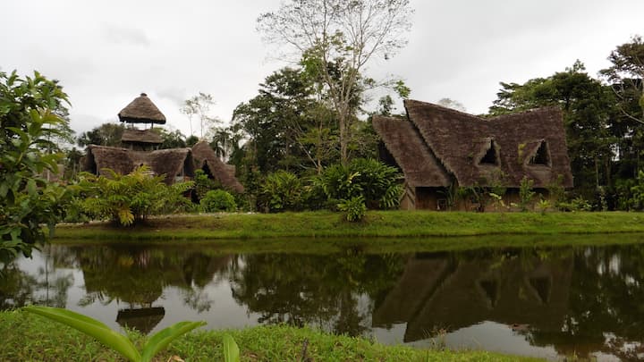 Estudiantes españoles difunden 'Las Musas a un paso de la Amazonia' y destacan la riqueza turística de Ecuador