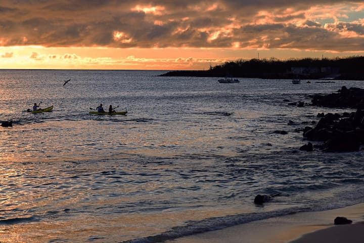 Asegure su presupuesto si a las Galápagos viaja por su cuenta