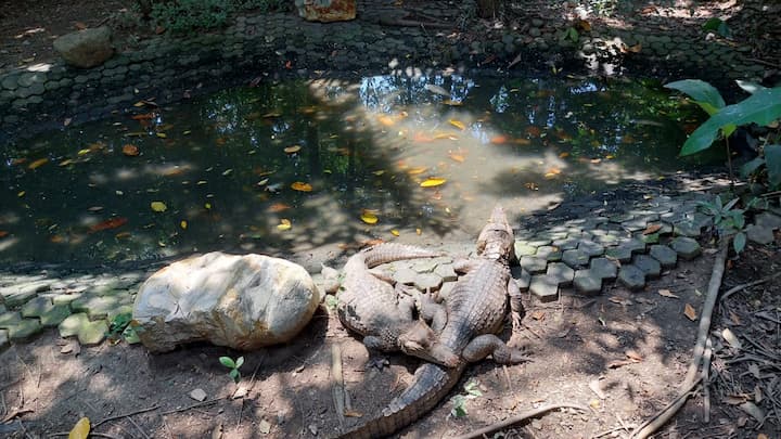 Parque Histórico incorpora nuevo atractivo