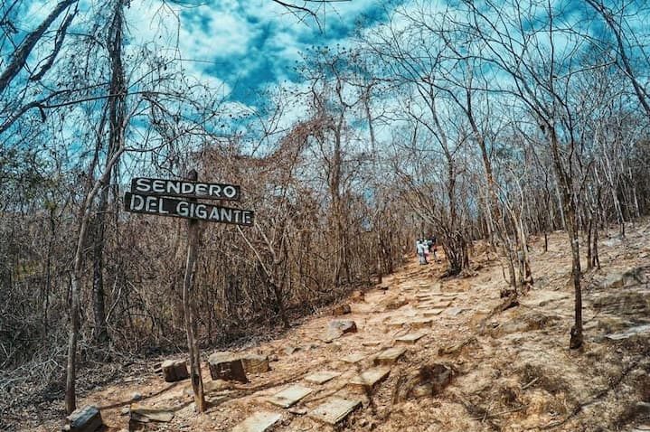 Bosque Petrificado Puyango