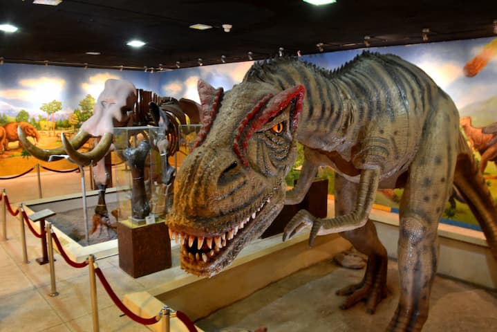 Museo de Historia Natural Gustavo Orcés V.