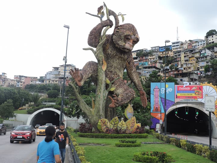 La escultura Mono Machín se ha convertido en un símbolo turístico de Guayaquil