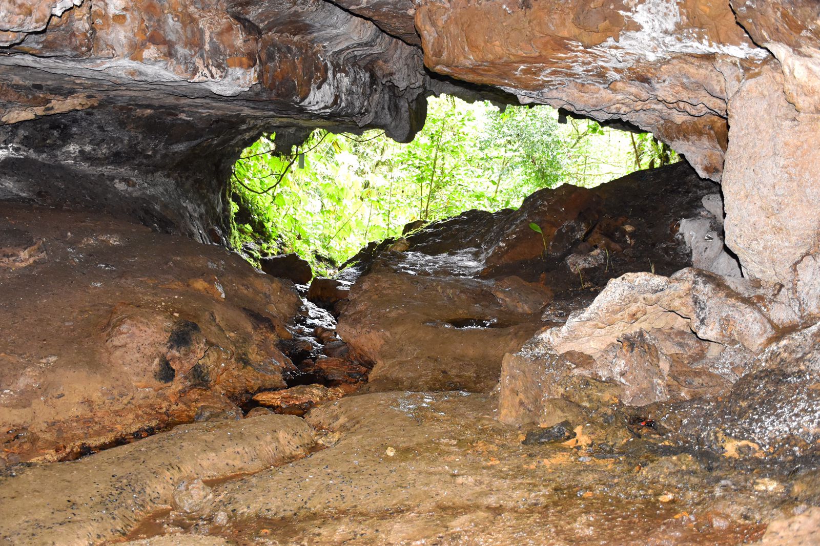 turismo en yantzaza valle de las luciérnagas