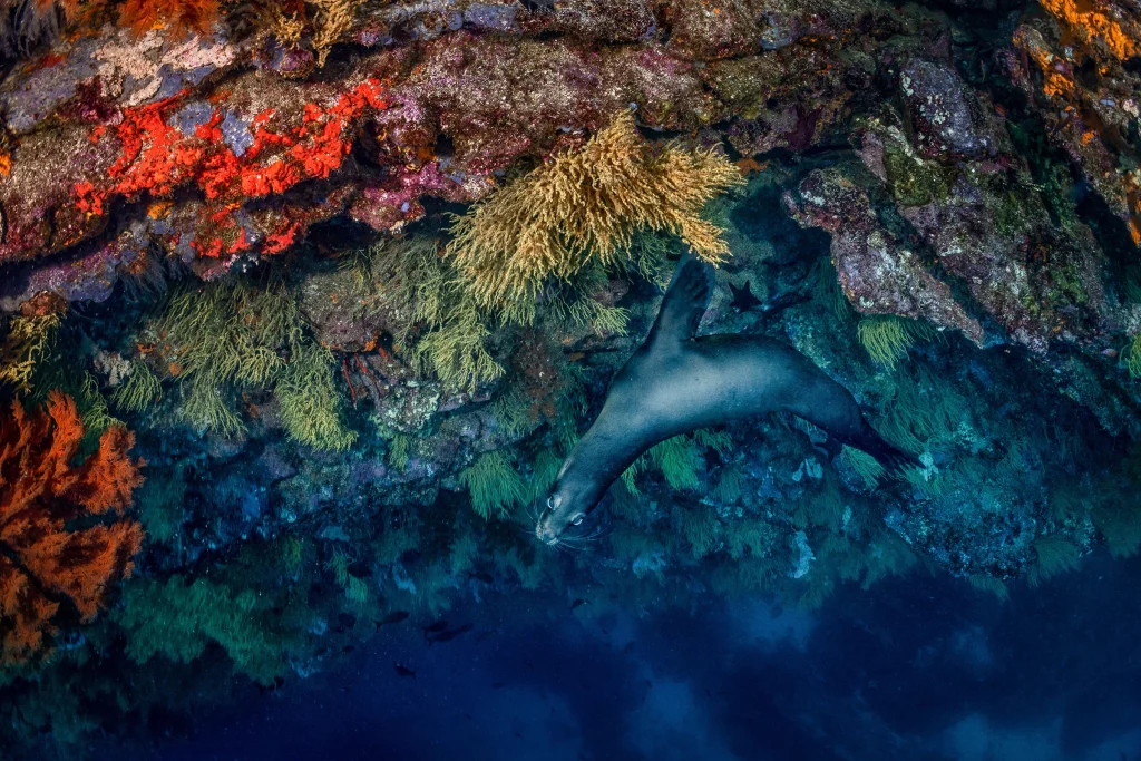 Galápagos en la lista de los 50 mejores lugares del mundo