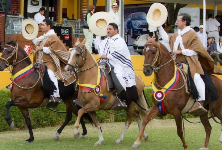 Cabalgata de caballos de paso peruanos se realizará en Quito al celebrar los 201 de la independencia de Perú