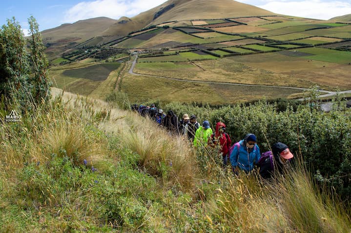 CAYAMBE