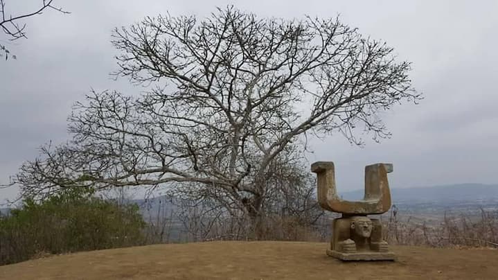 En el cerro Hojas Jaboncillo revive la cultura Manteña; en su cima hay sillas arqueológicas con vista a paisajes