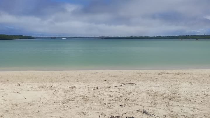 Sueño de viajar a Galápagos