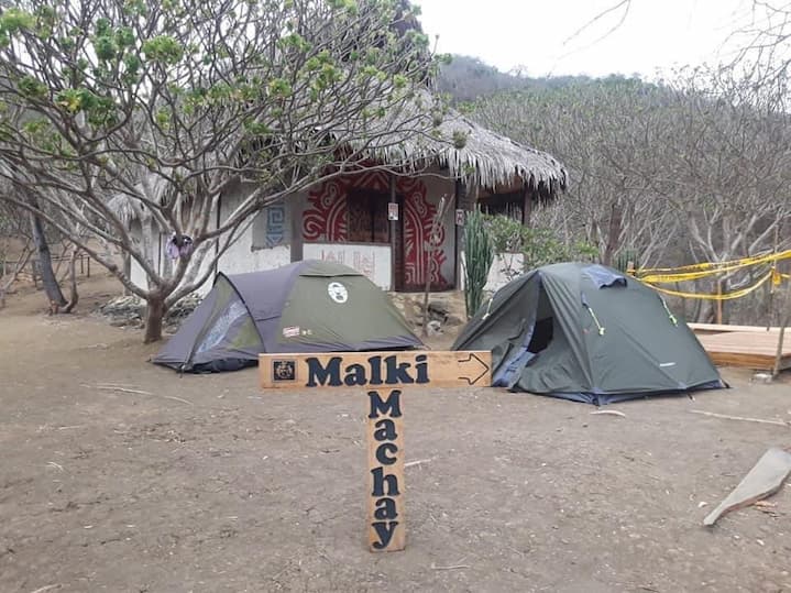 camping en jaboncillo