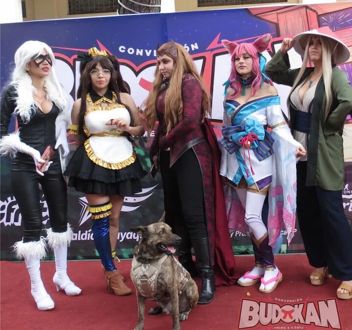 Budokan 2022