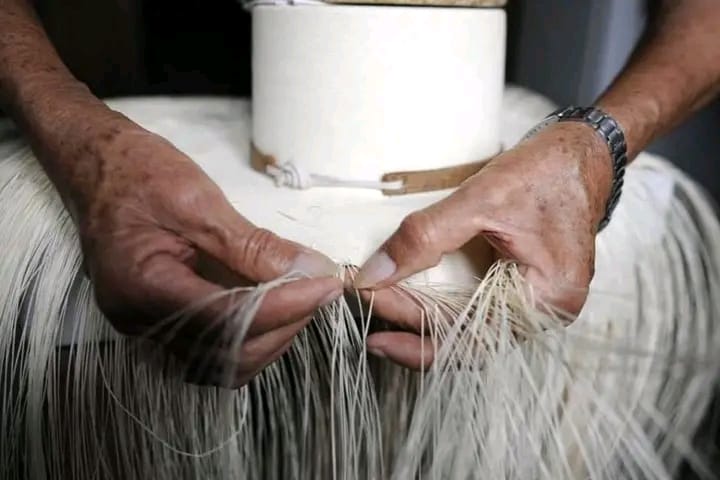 sombrero de paja toquilla de Ecuador 