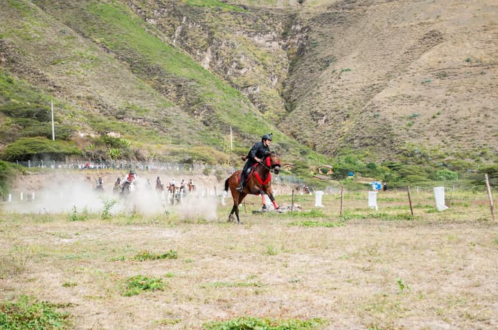 cacería del zorro