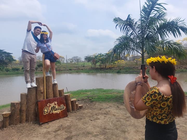 Florecer de los guayacanes en Colimes