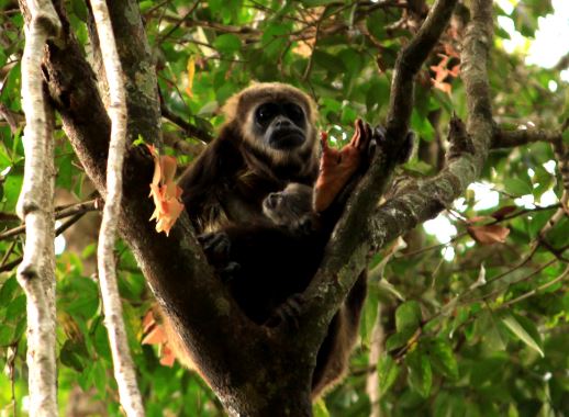 Reserva Ecológica Manglares Churute