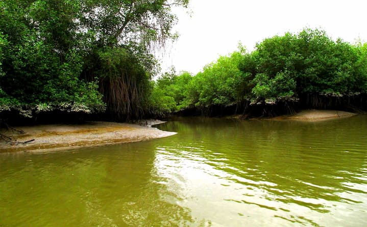 Reserva Ecológica Manglares Churute