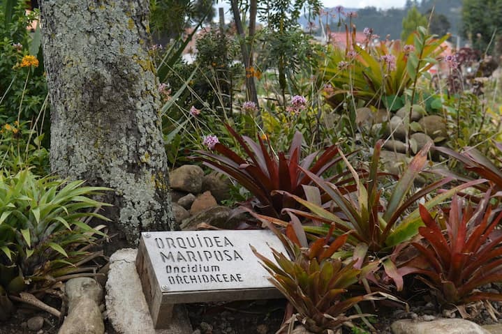 Unas 8.000 especies de plantas tiene el Jardín Botánico de Cuenca; se prevé el regreso de aves nativas al sitio
