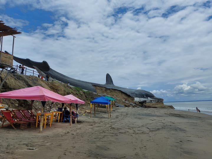 PLAYA EL DELFÍN