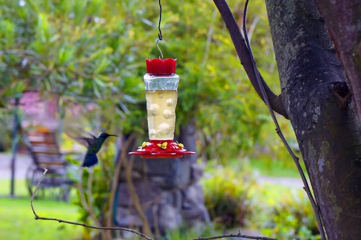 Aquicito, la ruta turística de Quito que muestra la belleza, los balnearios y más atractivos de sus 33 parroquias