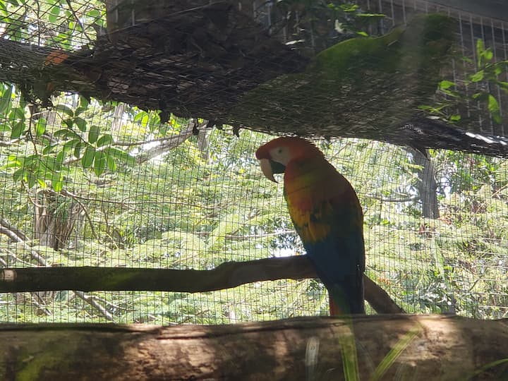 Turismo en Jardín Botánico