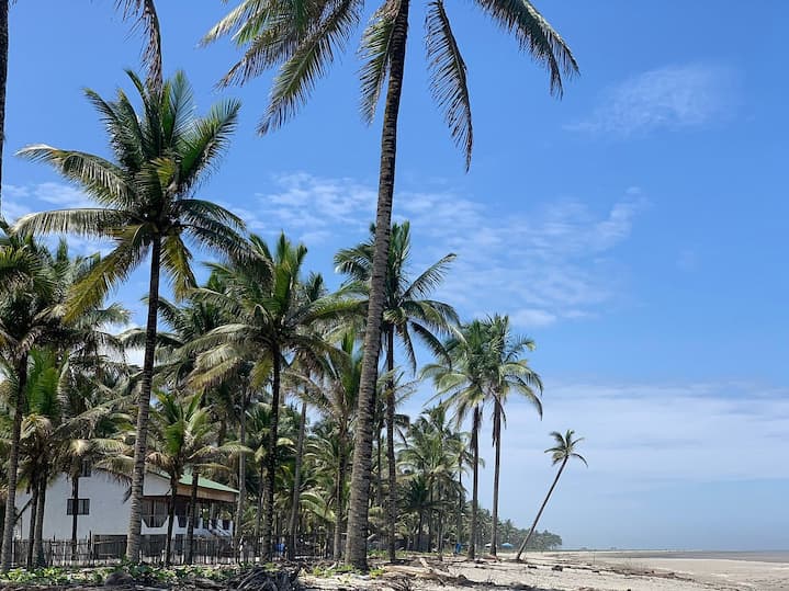 Isla Portete, una joyita escondida en el sur de Esmeraldas; tiene una playa de arena blanca y miles de palmeras
