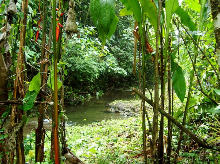 Dos Mangas, un tesoro de Santa Elena para la práctica del turismo natural; hay senderos, cascadas y piscinas