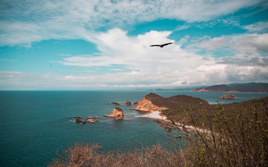 Los Frailes, un reservorio natural digno de visitar; la zona es refugio de animales y más de 200 especies de aves