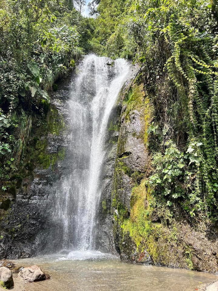 Chocó Andino 