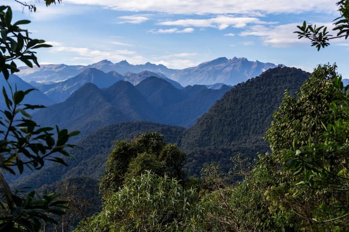 La riqueza turística de las 6 parroquias del Chocó Andino de Quito, donde la protección ganó la consulta popular