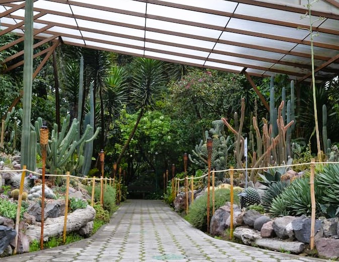 Jardín Botánico de Quito