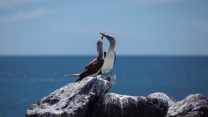 Cierre de sitios de visitas en islas Galápagos