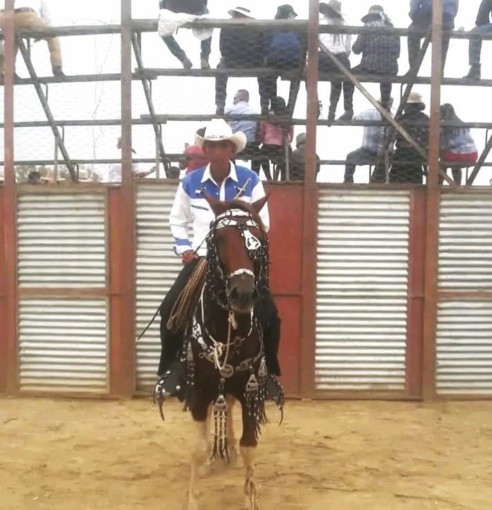 Rodeo montuvio Chocampe