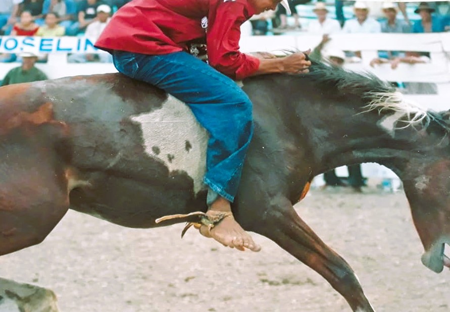 Expoferia Ganadera de Guayaquil 2023: 75 participantes van por el título del  Mejor jinete de rodeo del Ecuador