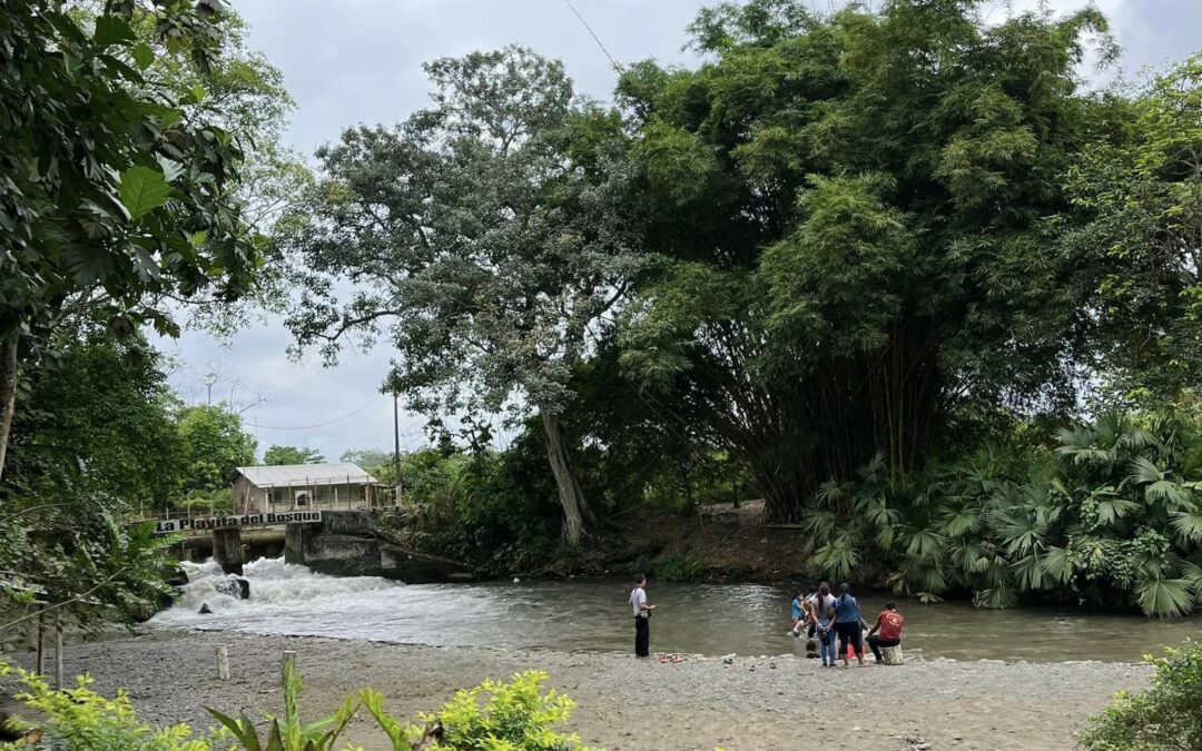 Playita del Bosque, en Naranjito, donde las aguas tranquilas y el entorno de naturaleza atraen visitantes