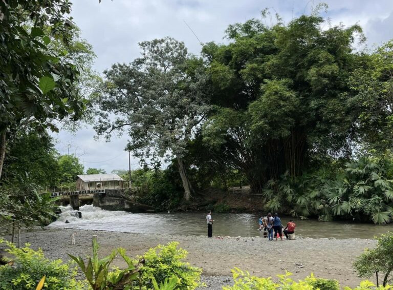 Playita del Bosque, en Naranjito, donde las aguas tranquilas y el entorno de naturaleza atraen visitantes