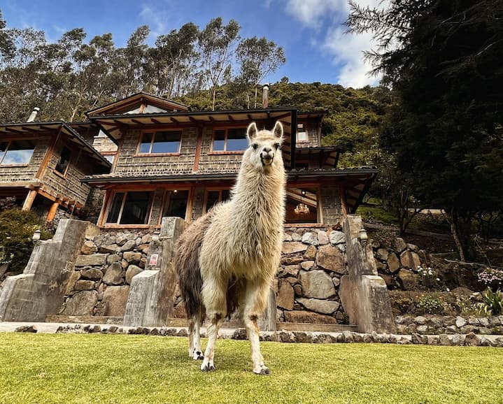 Haciendas turísticas, opción para vacacionar y escaparse de la rutina en los alrededores de Quito y otras ciudades