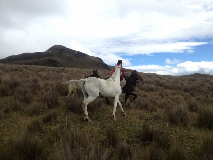 Haciendas turísticas Quito