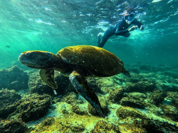 Las nuevas tarifas del Parque Nacional Galápagos