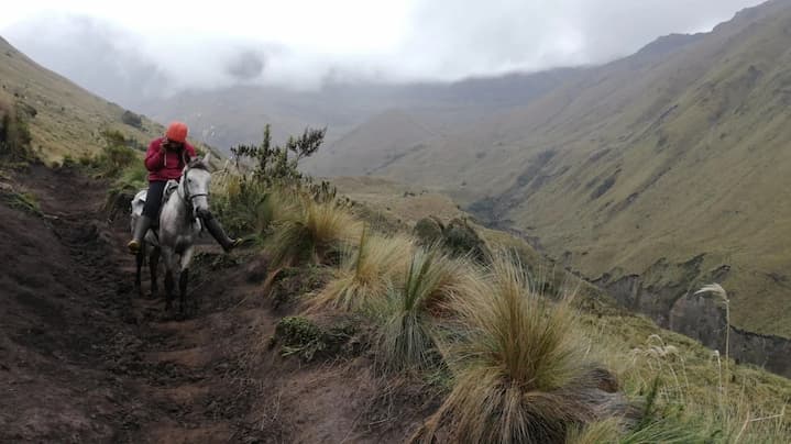 Excursión a la laguna Amarilla