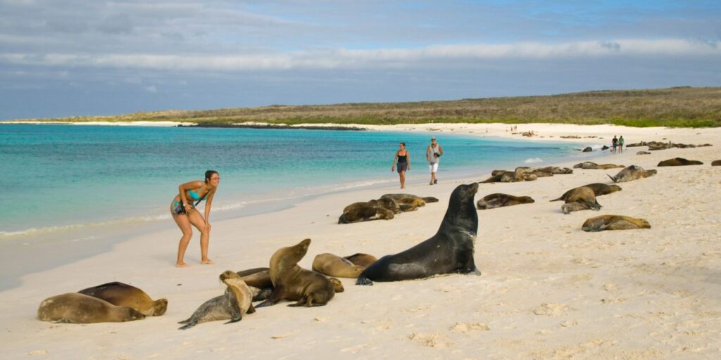 tasa de ingreso a Galápagos