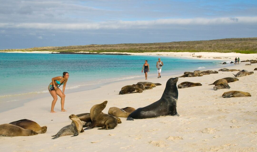 Aumento de la tasa de ingreso a Galápagos: ministro Olsen, dirigentes del gremio turístico y guías, de acuerdo