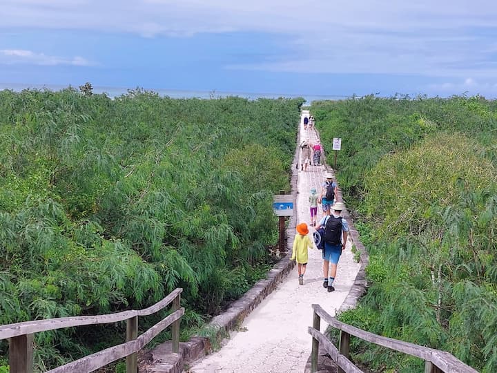 Tortuga Bay, ícono del turismo en Galápagos