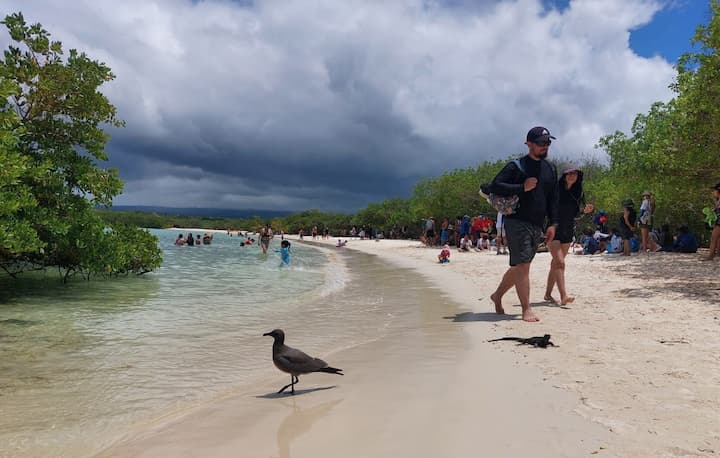 El turismo nacional aumenta y el extranjero se estanca en Galápagos; van más ecuatorianos a sitios de libre acceso