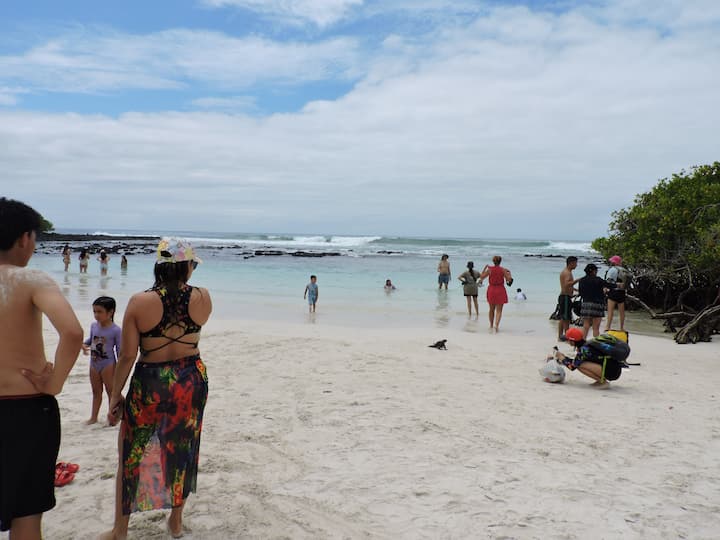 Tortuga Bay, ícono del turismo en Galápagos