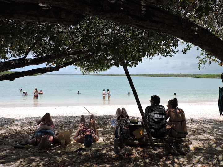 Tortuga Bay, ícono del turismo en Galápagos