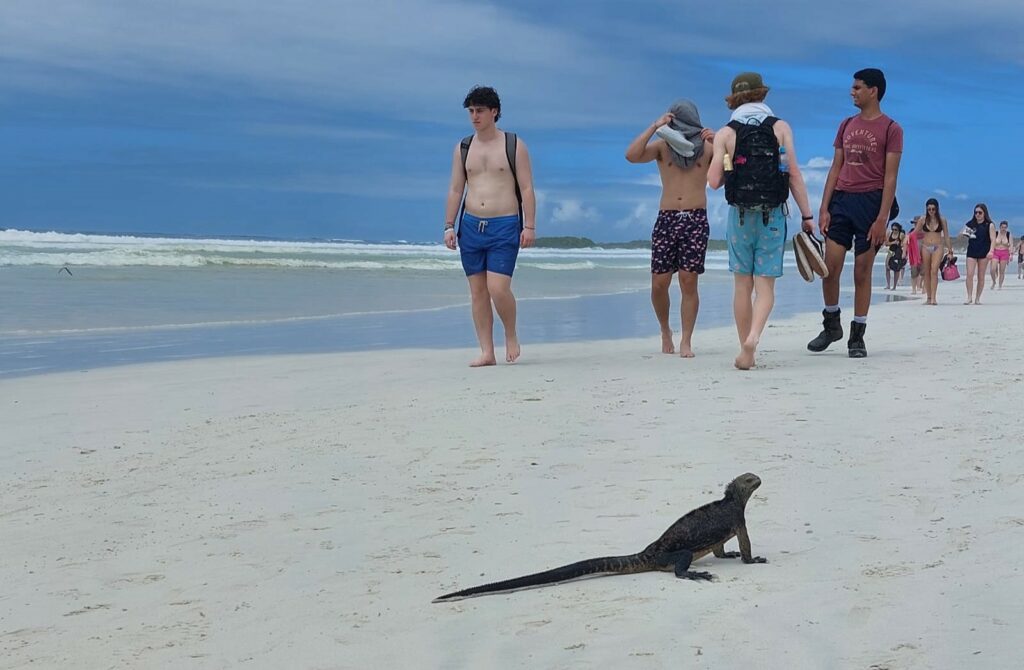 Tortuga Bay, ícono de Galápagos