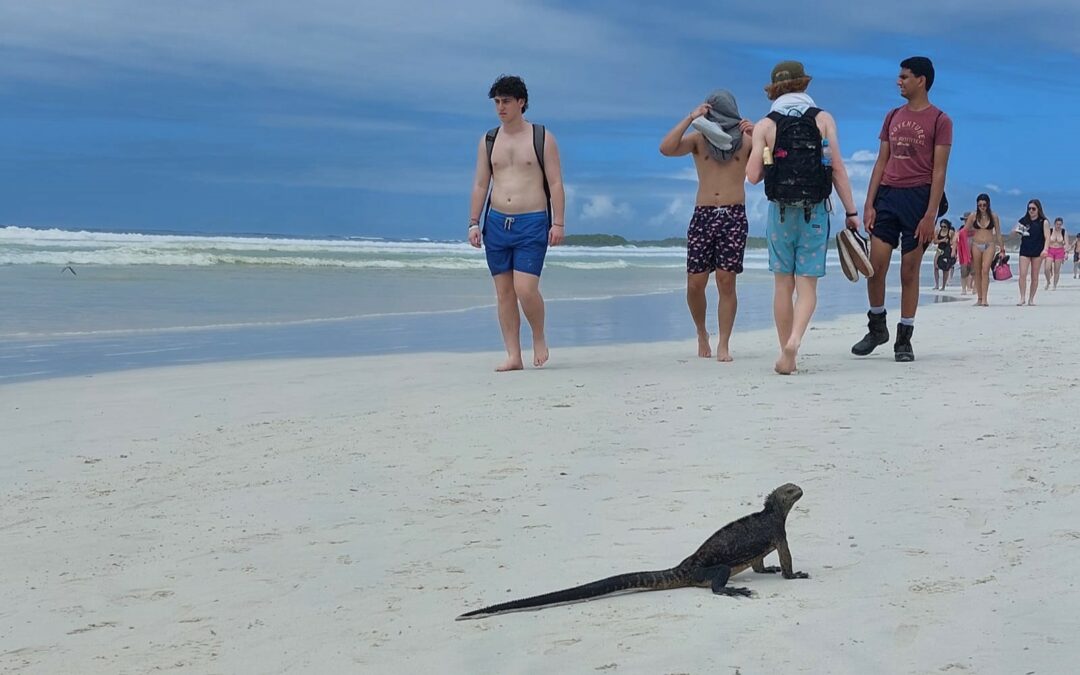 Tortuga Bay, uno de los íconos de Galápagos, impacta con su arena blanca; recibe al 30% de visitantes de Santa Cruz