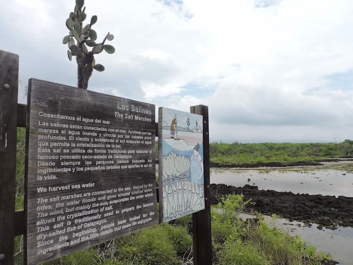 Las Grietas, destino en Santa Cruz, Galápagos