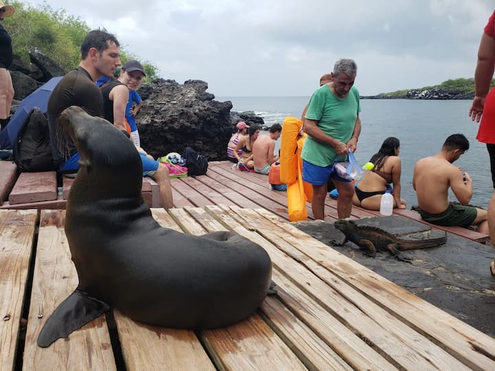 Ensenada y cerro Tijeretas, símbolos de San Cristóbal, donde el visitante comparte espacios con las especies