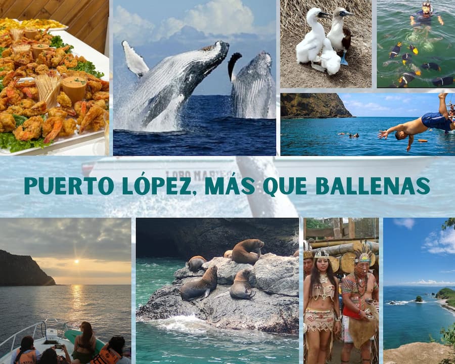 Turismo Puerto López